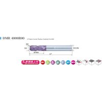 DMR 4000