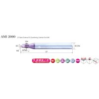 AMI 2000