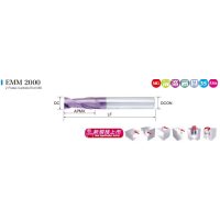 EMM 2000